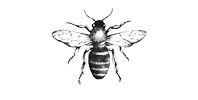 bee Seattle Wedding Photographer